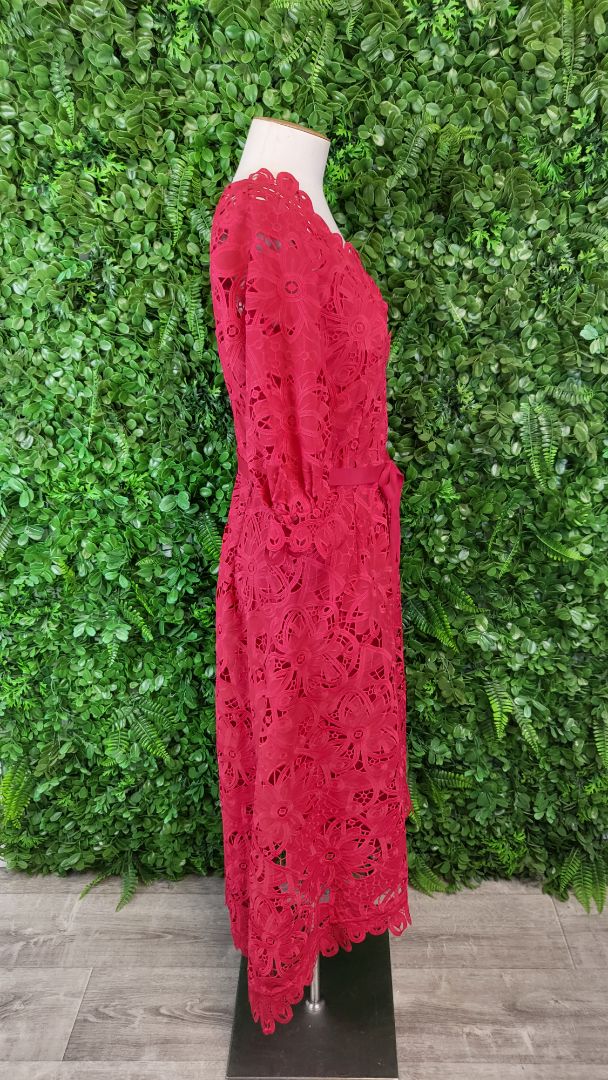 Moss & Spy Crimson Lace Dress (12)
