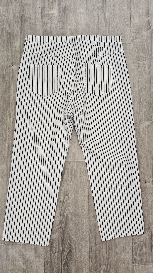 Vassalli Stripe Pull On Pant (16)