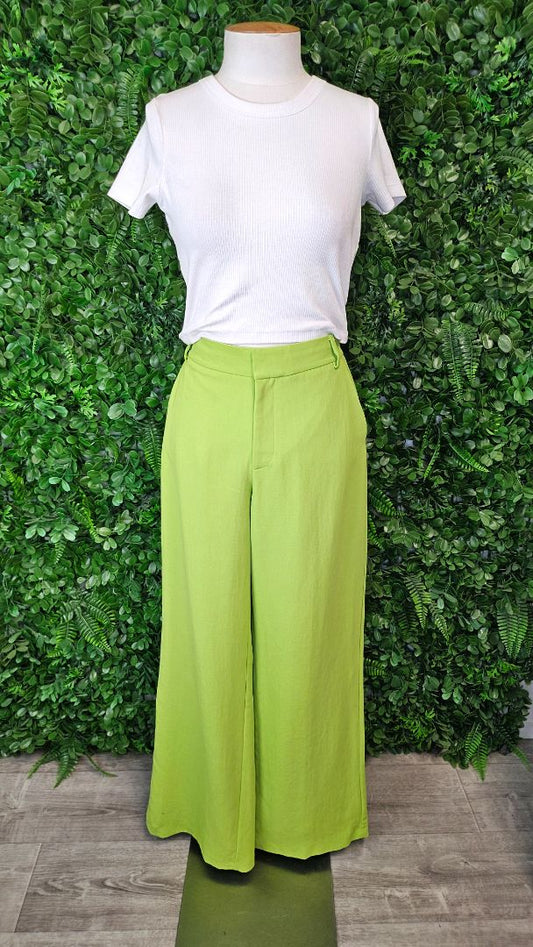 Zara Citrene Wide Leg Pant (10)