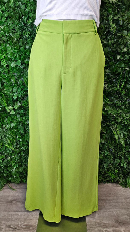 Zara Citrene Wide Leg Pant (10)