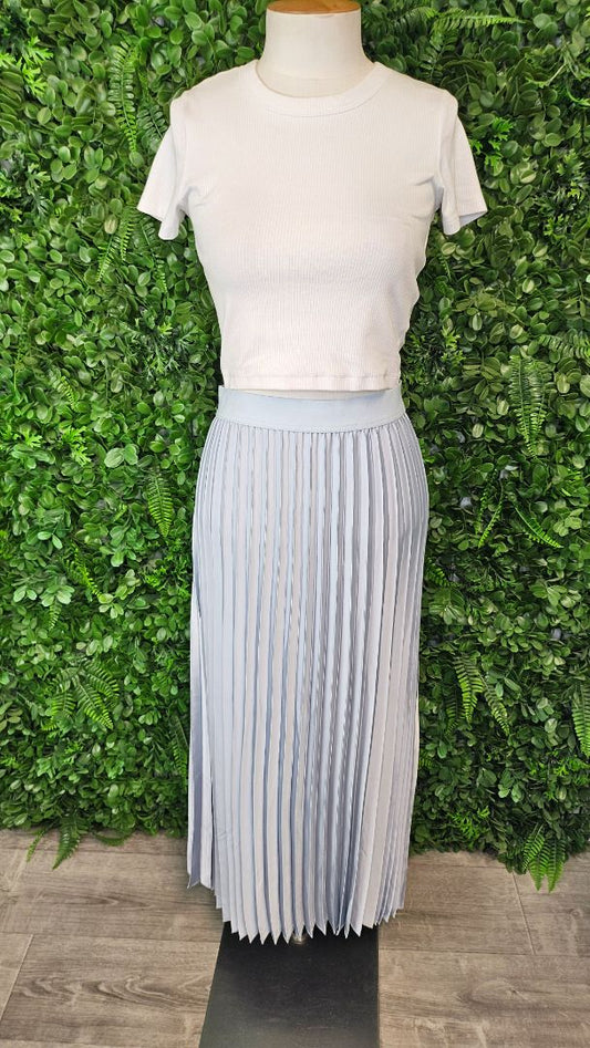Fox + Velvet Silver Pale Blue Pleated Skirt (12)