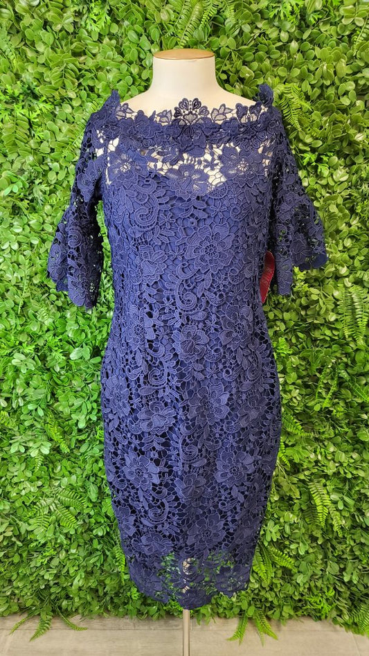 Paper Dolls Navy Lace Dress BNWT (14)