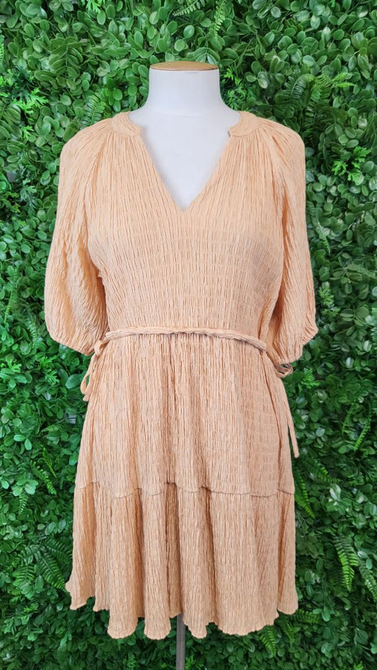 Leila+ Luca Apricot Shirred Dress BNWT (8)