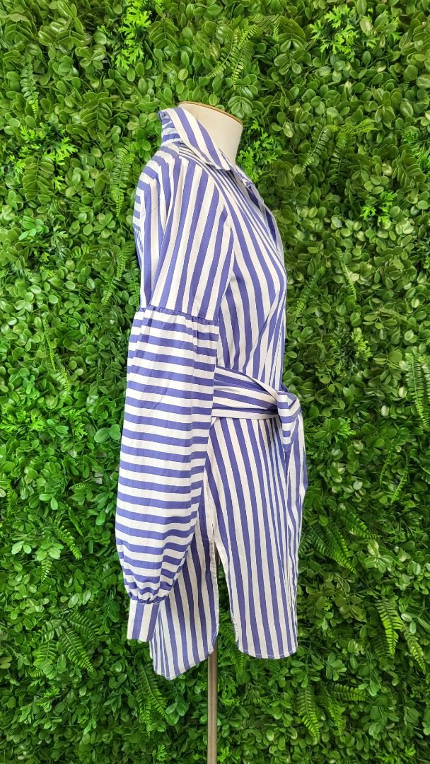 Zara Stripe Shirt Dress (8)