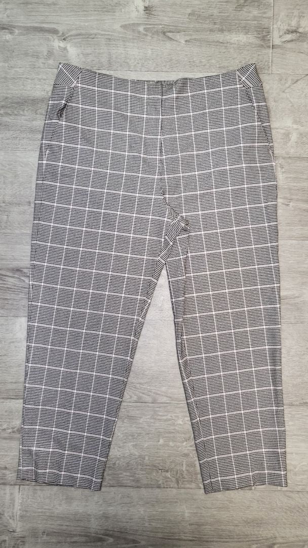 Sportscraft  Check Pant (16)