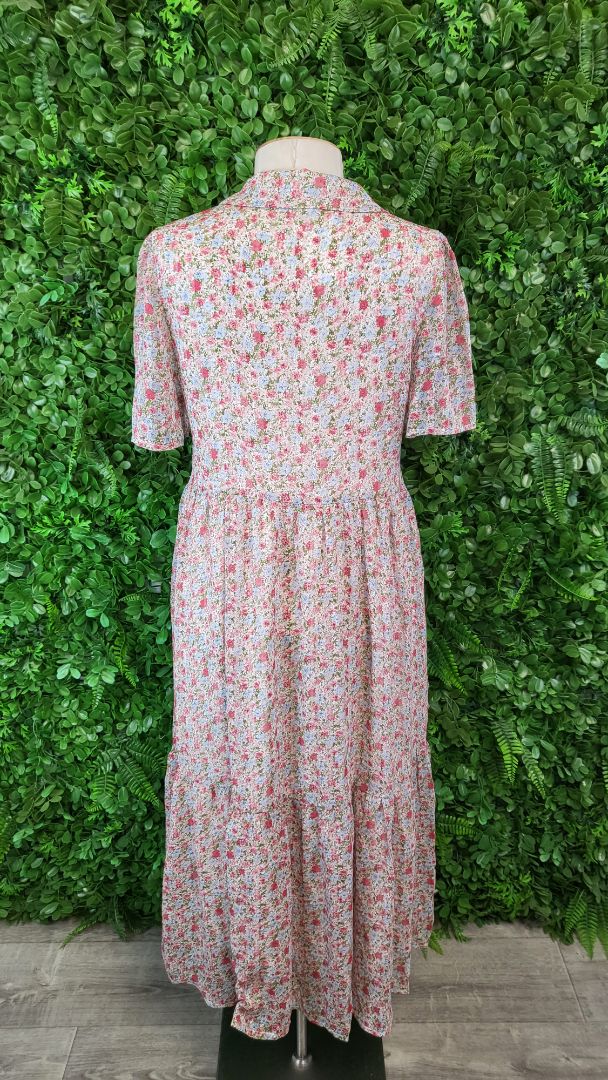 Ketz-ke Floral Boston Dress (8))