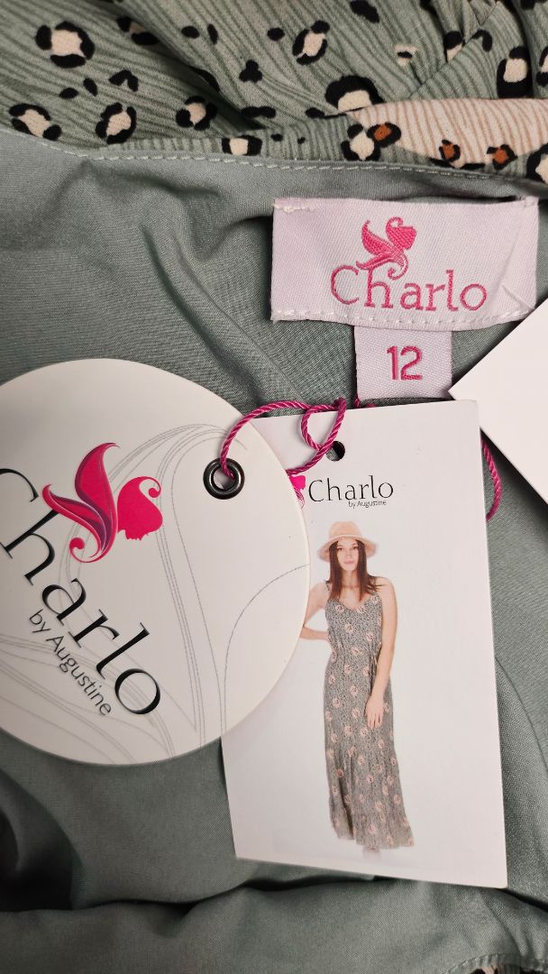 Charlo Print Lizzy Dress BNWT (12)