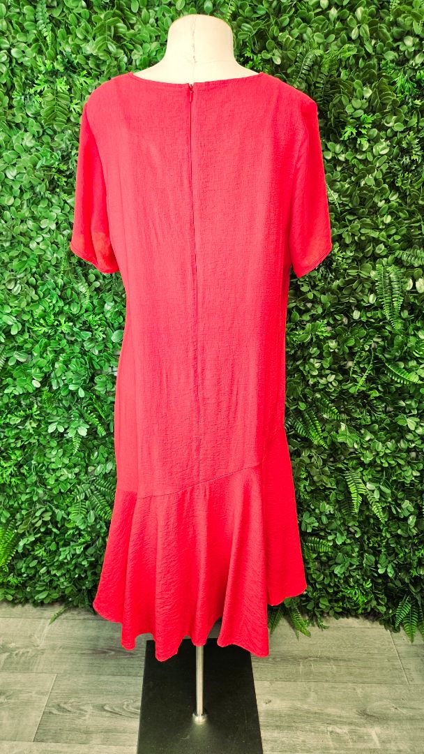Repertoire Red Georgette Sleeve Dress (14)