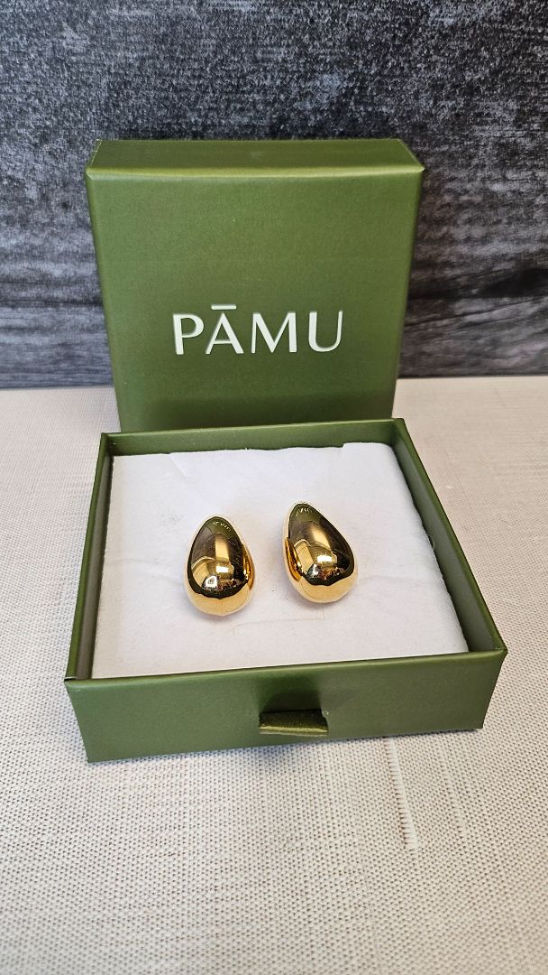 Pāmu Earrings Gold Roimata Earrings