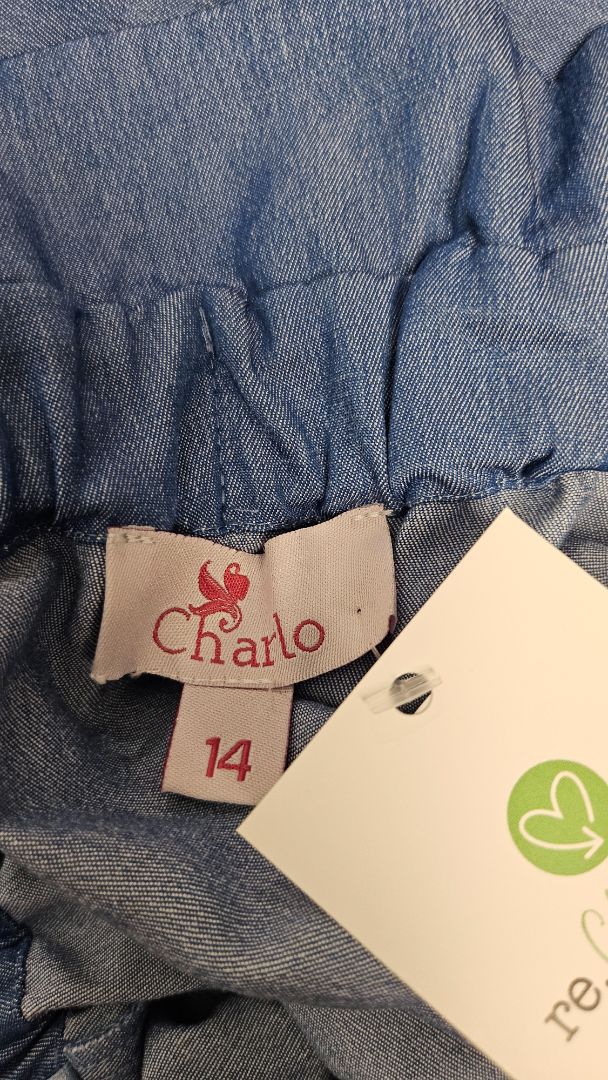 Charlo Blue Button Front Skirt (14)