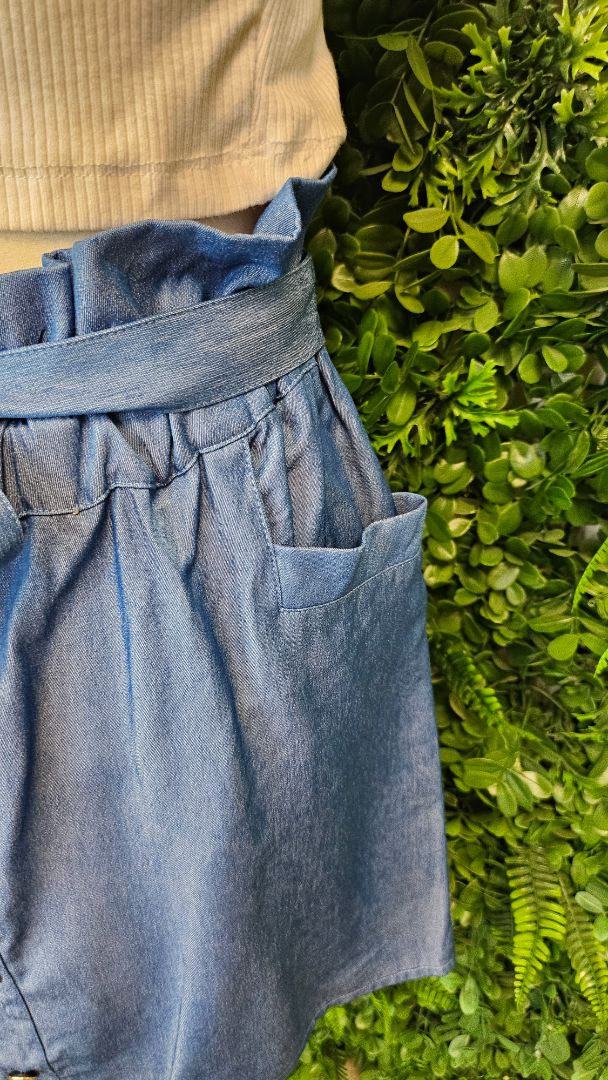 Charlo Blue Button Front Skirt (14)