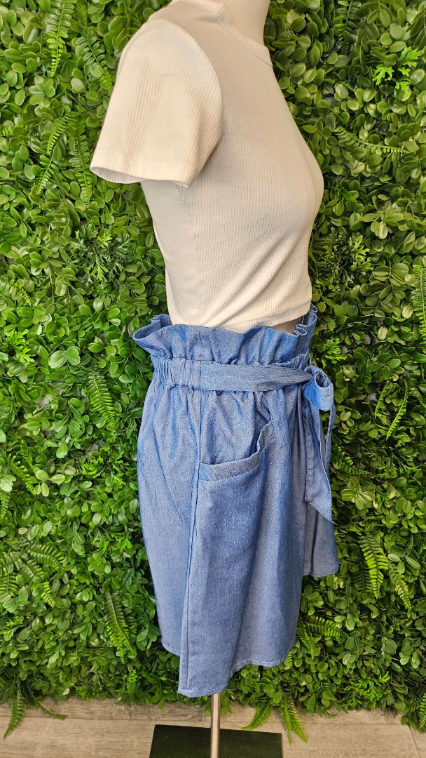 Charlo Blue Button Front Skirt (14)