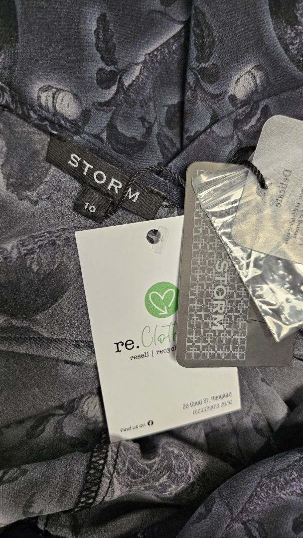 Storm Print Silk Dress BNWT (10)