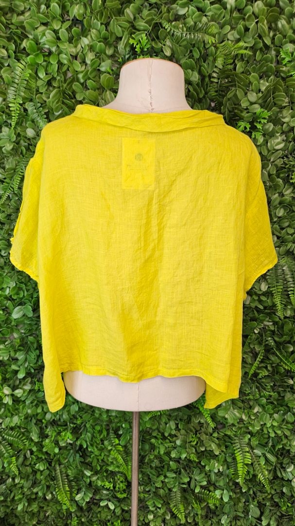 Banana Blue Yellow Linen Crop Jacket (16)
