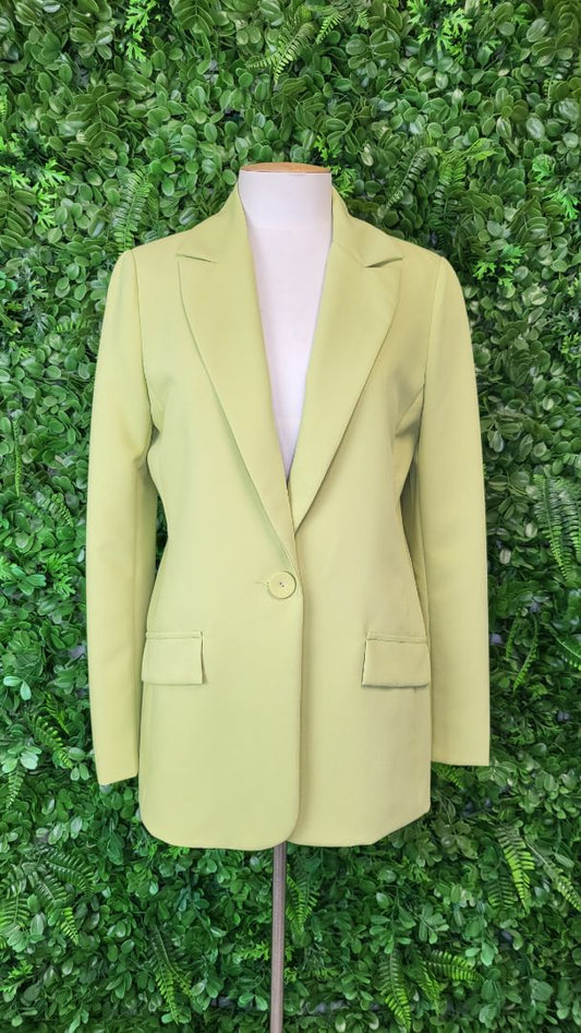 Repertoire Citrine Blazer (8)
