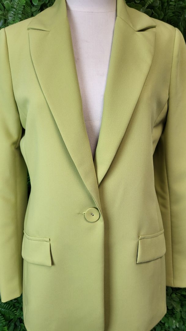 Repertoire Citrine Blazer (8)