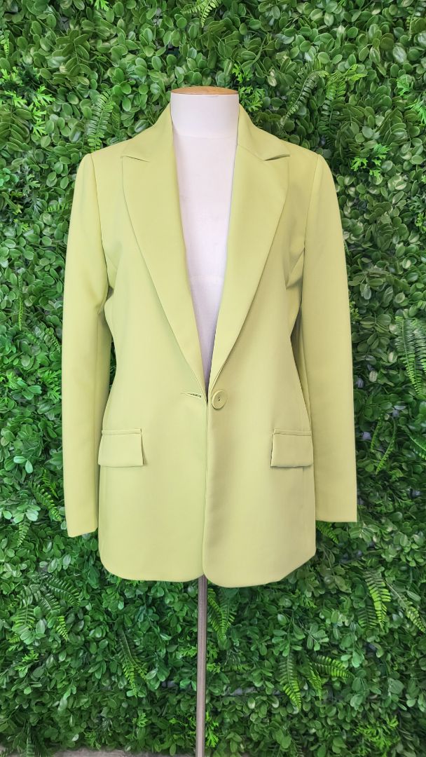 Repertoire Citrine Blazer (8)