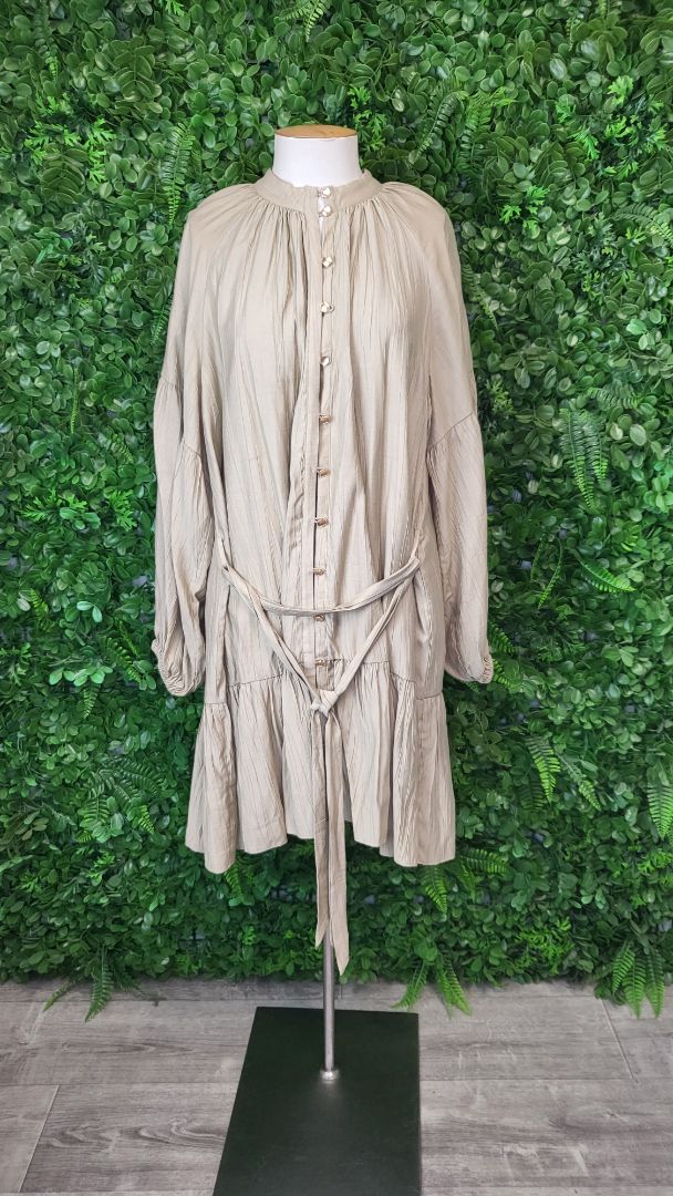 Esmaee Beige Stage Dress (16)