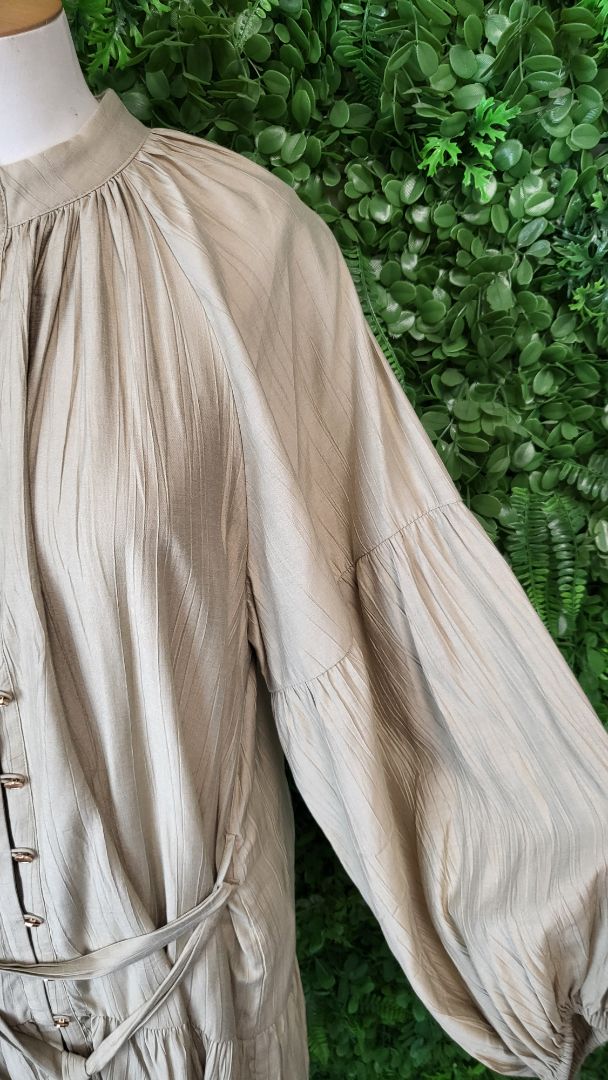 Esmaee Beige Stage Dress (16)