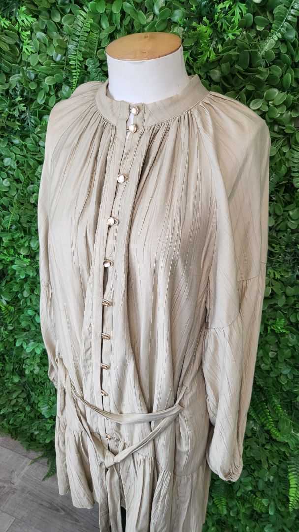 Esmaee Beige Stage Dress (16)