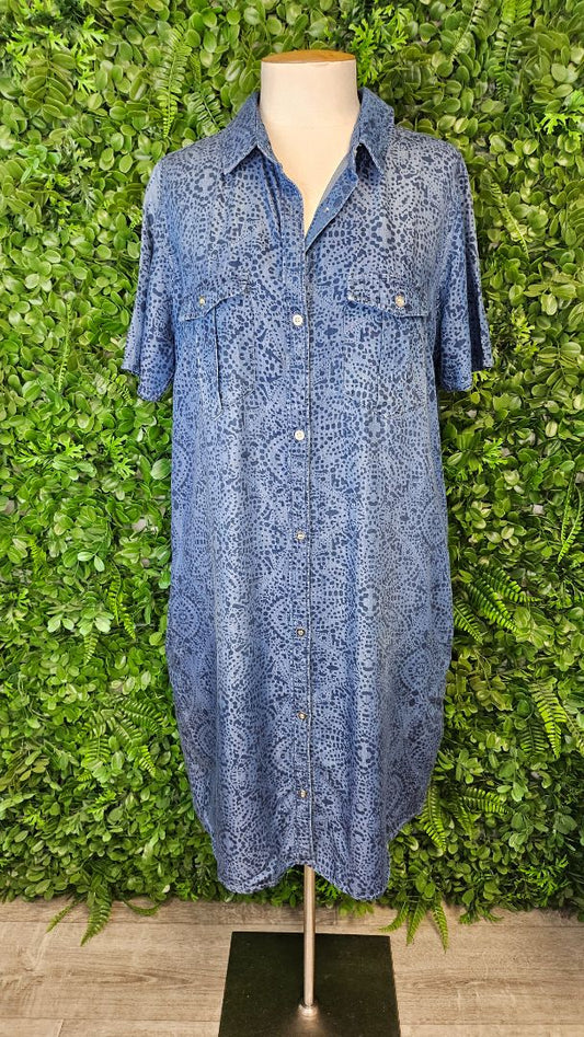 Vassalli Blue Shirt Dress (14)