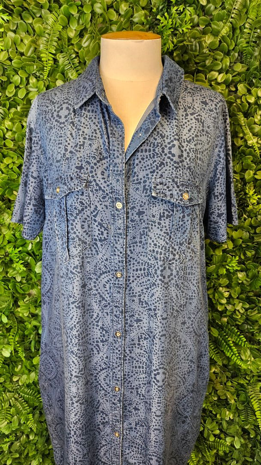 Vassalli Blue Shirt Dress (14)