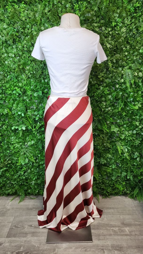 Among The Brave Stripe Fiery Plum Skirt BNWT (14)