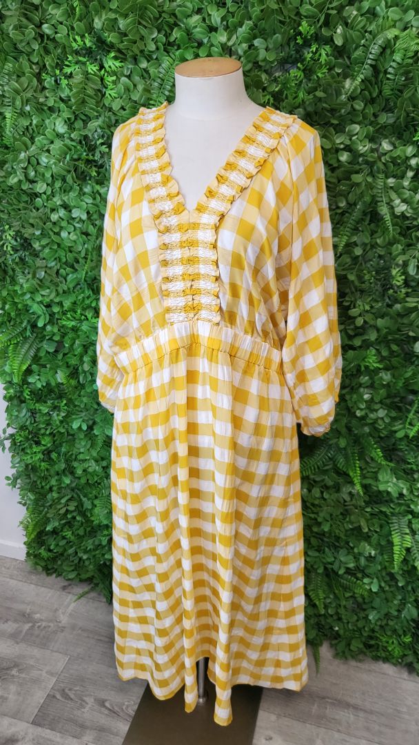 Neris Check Upscale Dress BNWT (16)