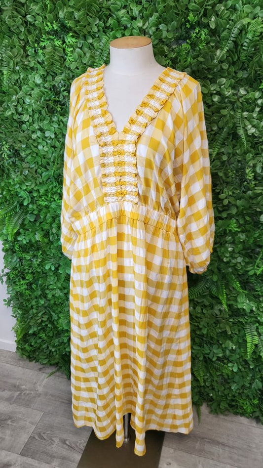 Neris Check Upscale Dress BNWT (16)