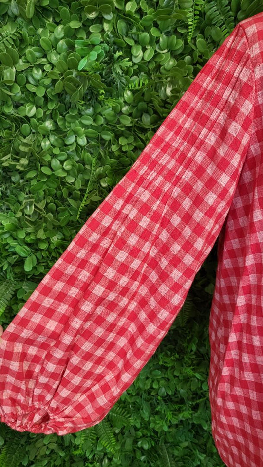 Haven Red Gingham Top BNWT (OSFM)