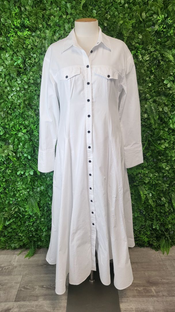 Witchery White Shirt Dress (10)