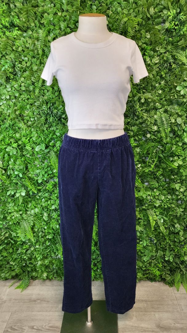 Twin Lakes Navy Cord Pants (10)