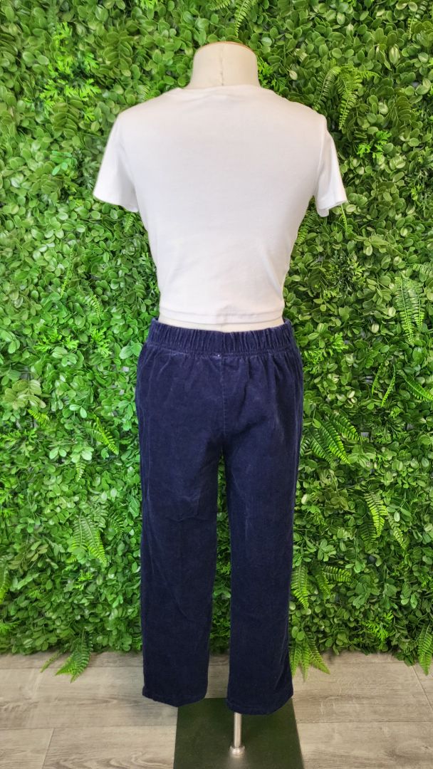 Twin Lakes Navy Cord Pants (10)