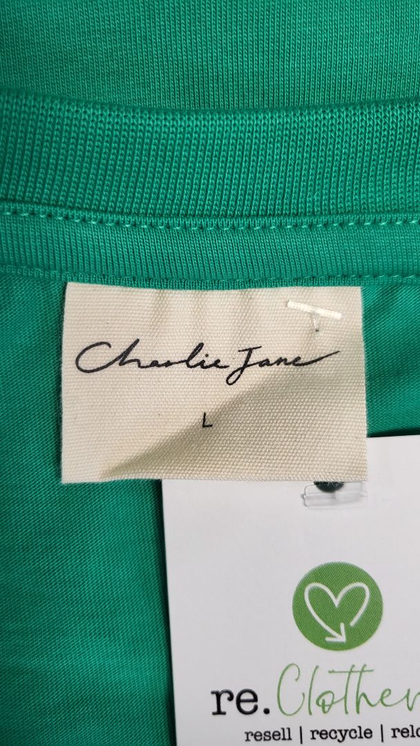 Charlie Jane Green A-Line Dress (14)