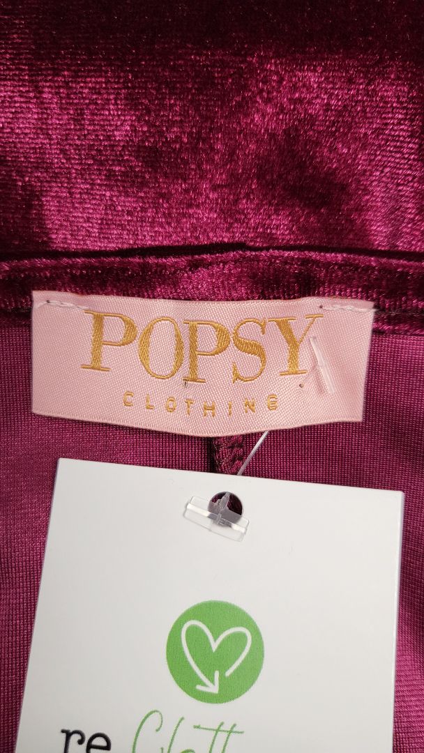 Popsy Claret Velvet Swing Dress BNWT (18)