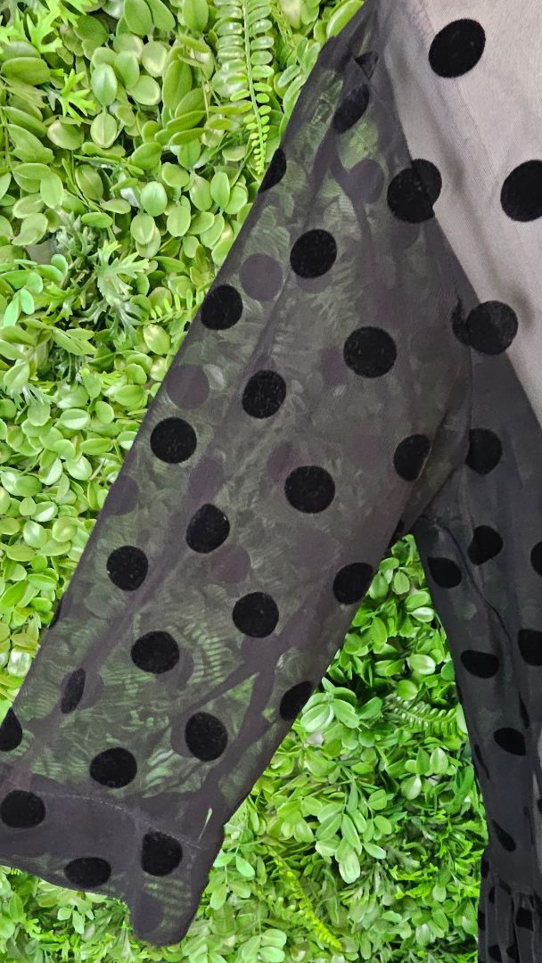 Jellicoe Black Mesh Spot Dress (10-12)