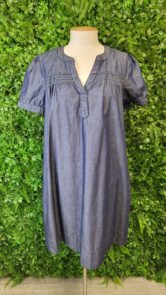 Unknown Denim Shift Dress (12)