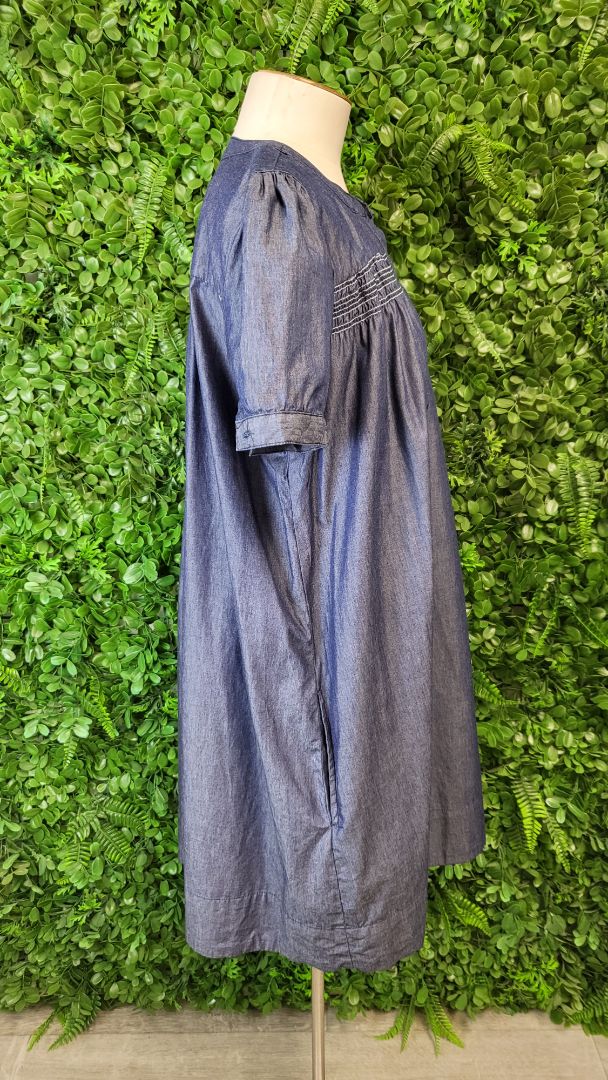 Unknown Denim Shift Dress (12)