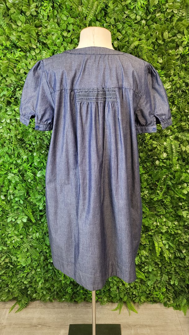 Unknown Denim Shift Dress (12)