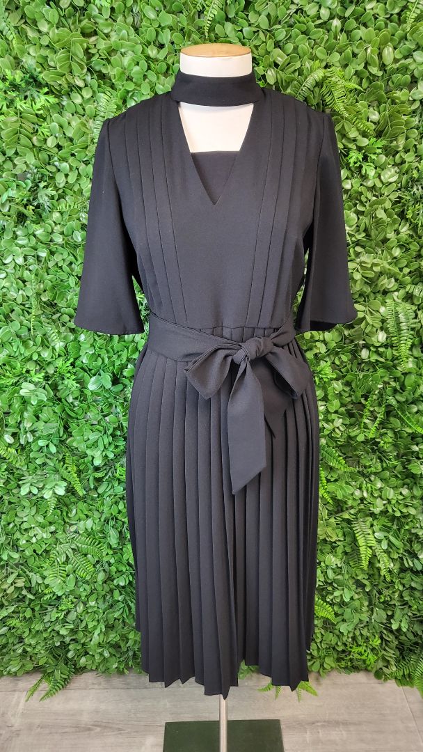 Witchery Black Pleat Dress BNWT (6)