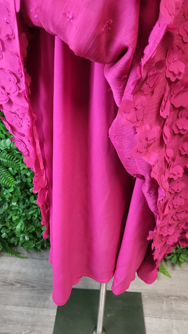 TS Fushia Appliqués Dress (24)