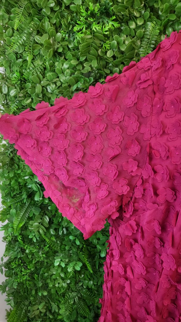 TS Fushia Appliqués Dress (24)