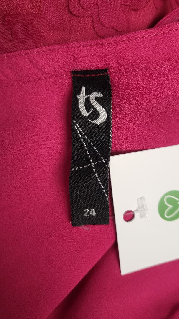 TS Fushia Appliqués Dress (24)