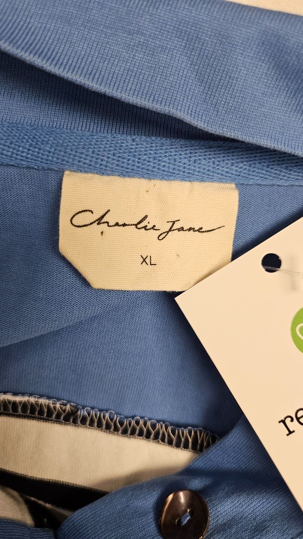 Charlie Jane Stripe Blue Pullover (16)