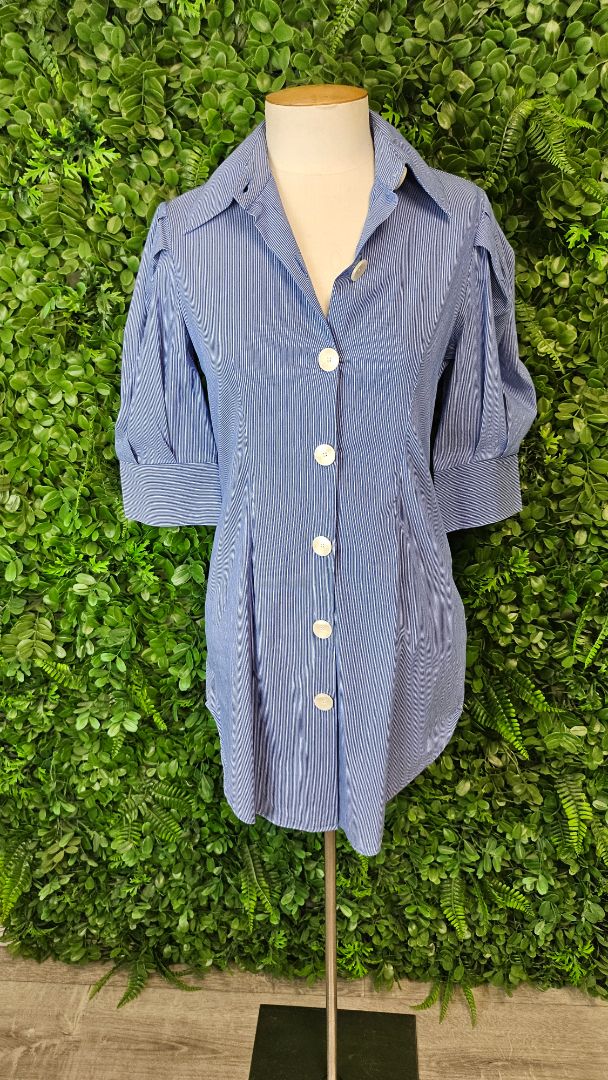 Zara Blue Tunic Top (8)