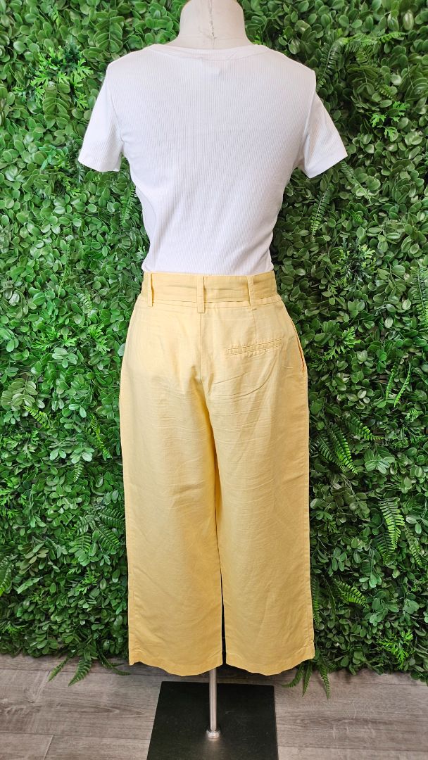 Zara Yellow Linen Blend Pant (10)