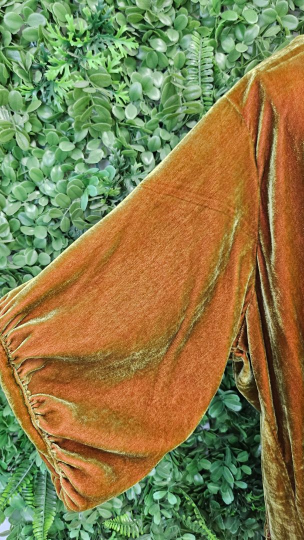 Miss Rose Sister Violet Green/Russet Velvet Dress BNWT (14-16)