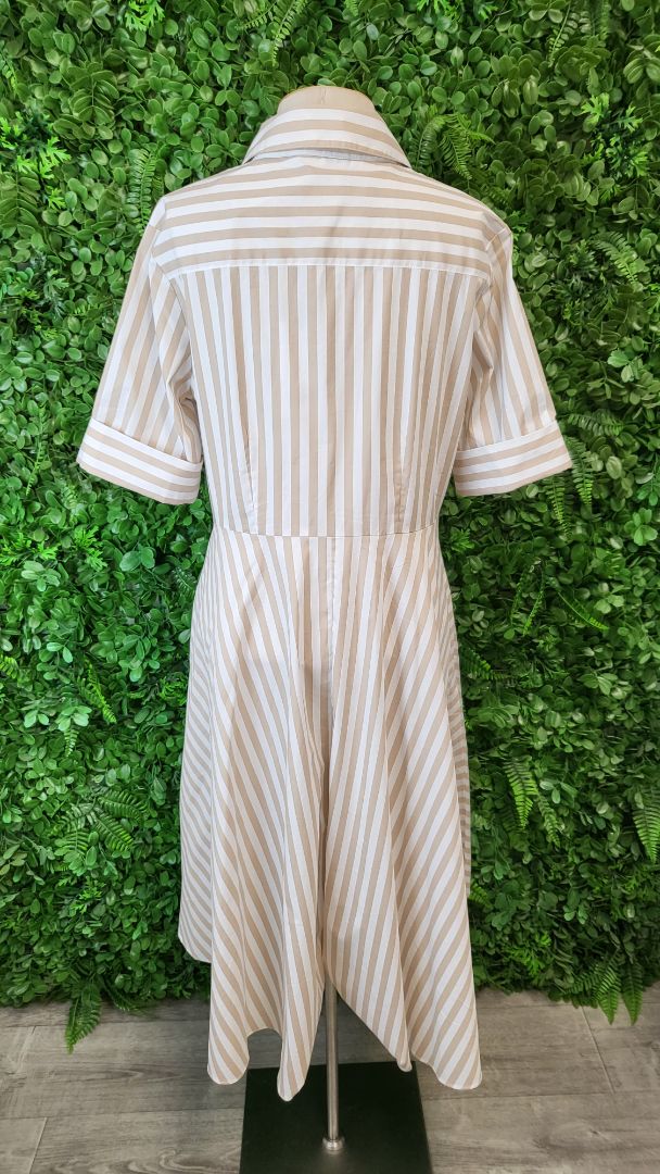 Foil Stripe Award Winning Dress BNWT (14)