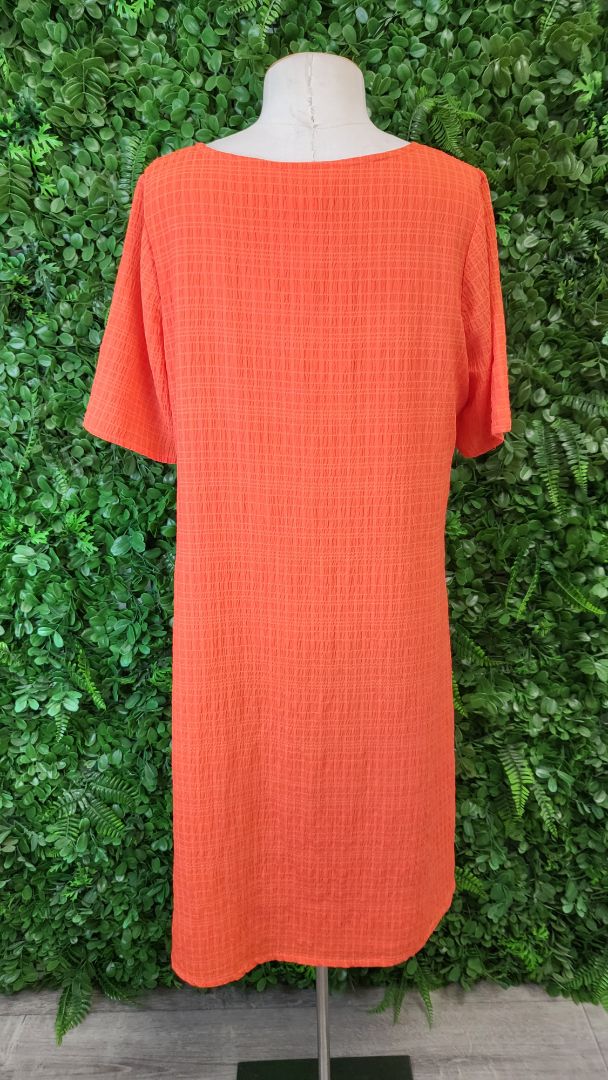 Lemon Tree Orange Textured Shift Dress (12)