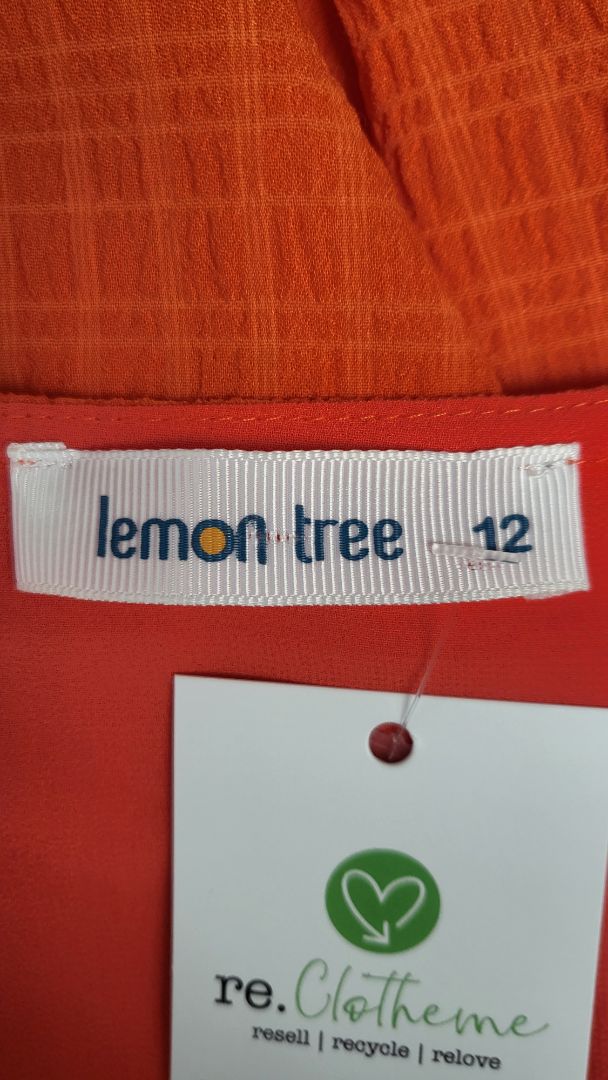 Lemon Tree Orange Textured Shift Dress (12)